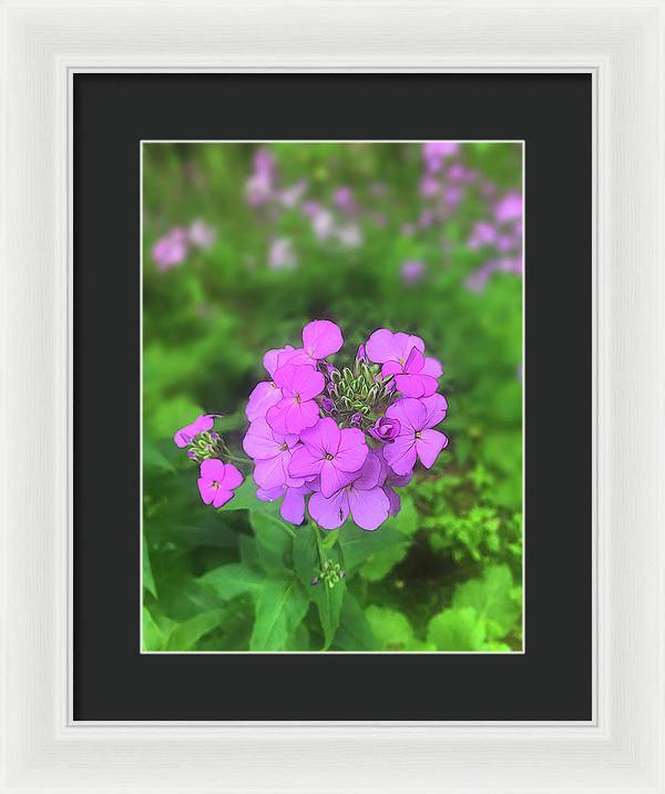 Pink Wildflowers - Framed Print