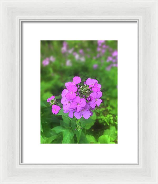Pink Wildflowers - Framed Print