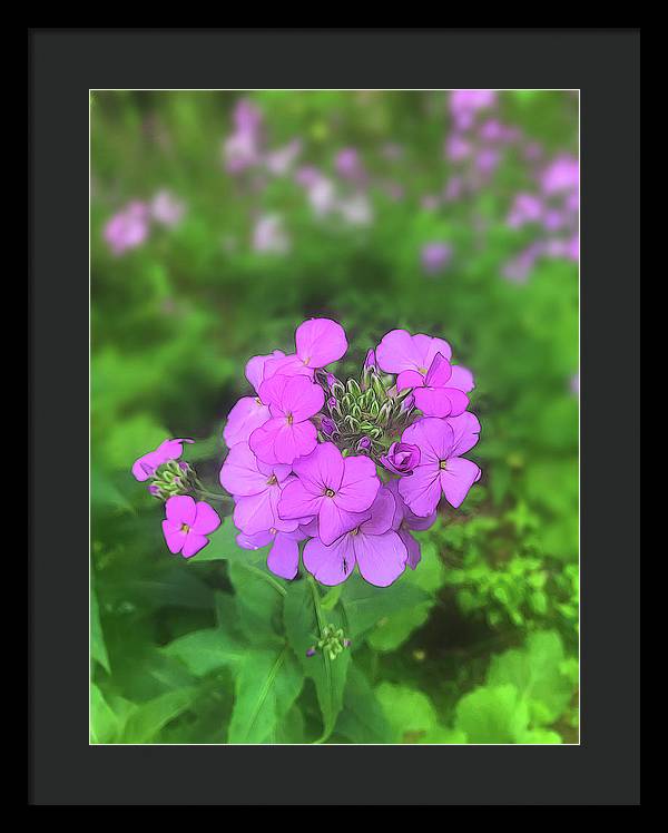 Pink Wildflowers - Framed Print