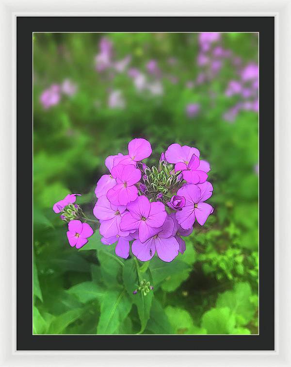Pink Wildflowers - Framed Print