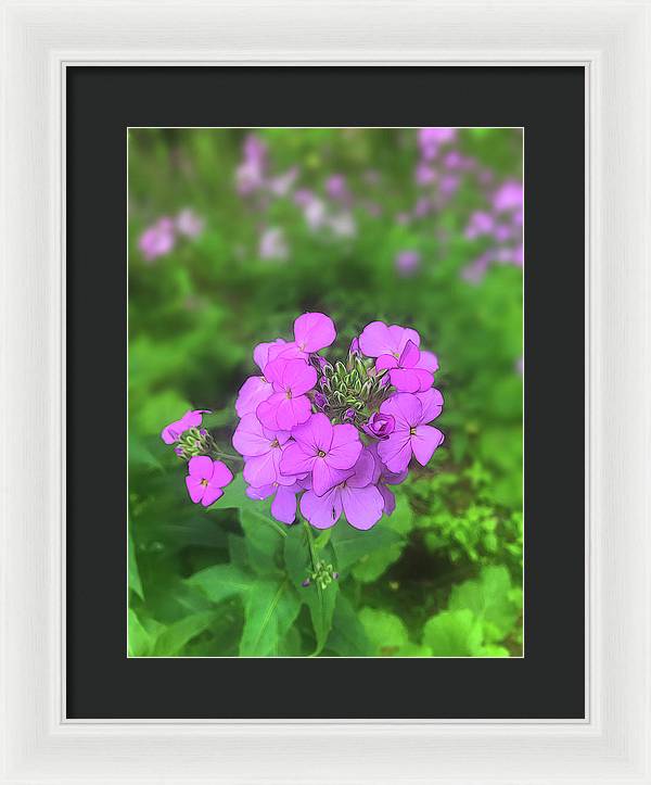 Pink Wildflowers - Framed Print