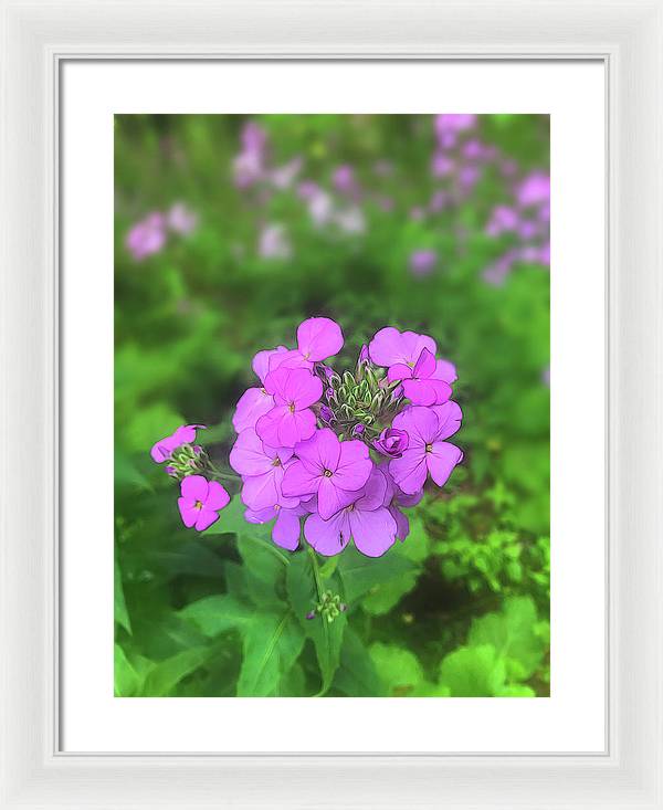 Pink Wildflowers - Framed Print