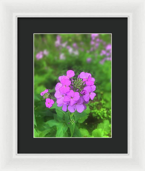Pink Wildflowers - Framed Print