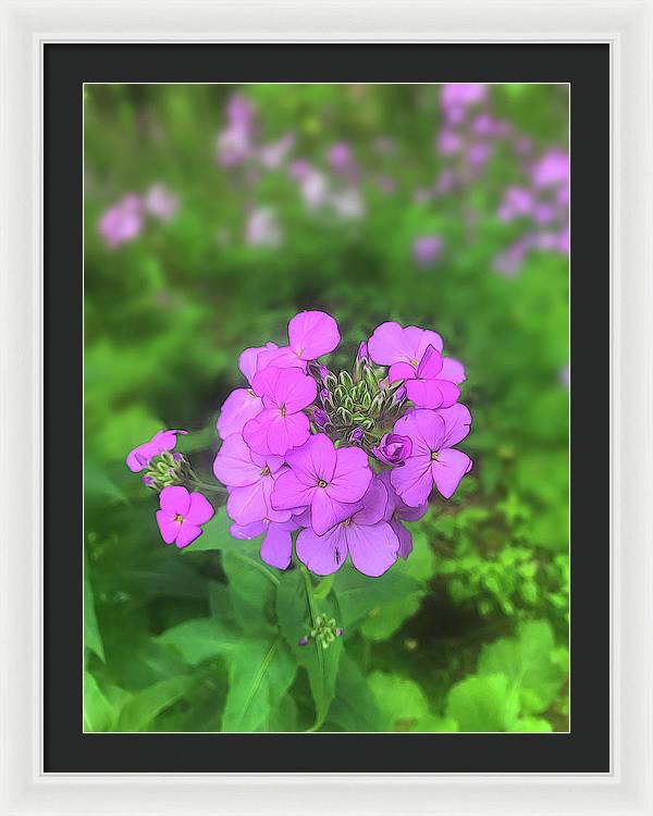 Pink Wildflowers - Framed Print