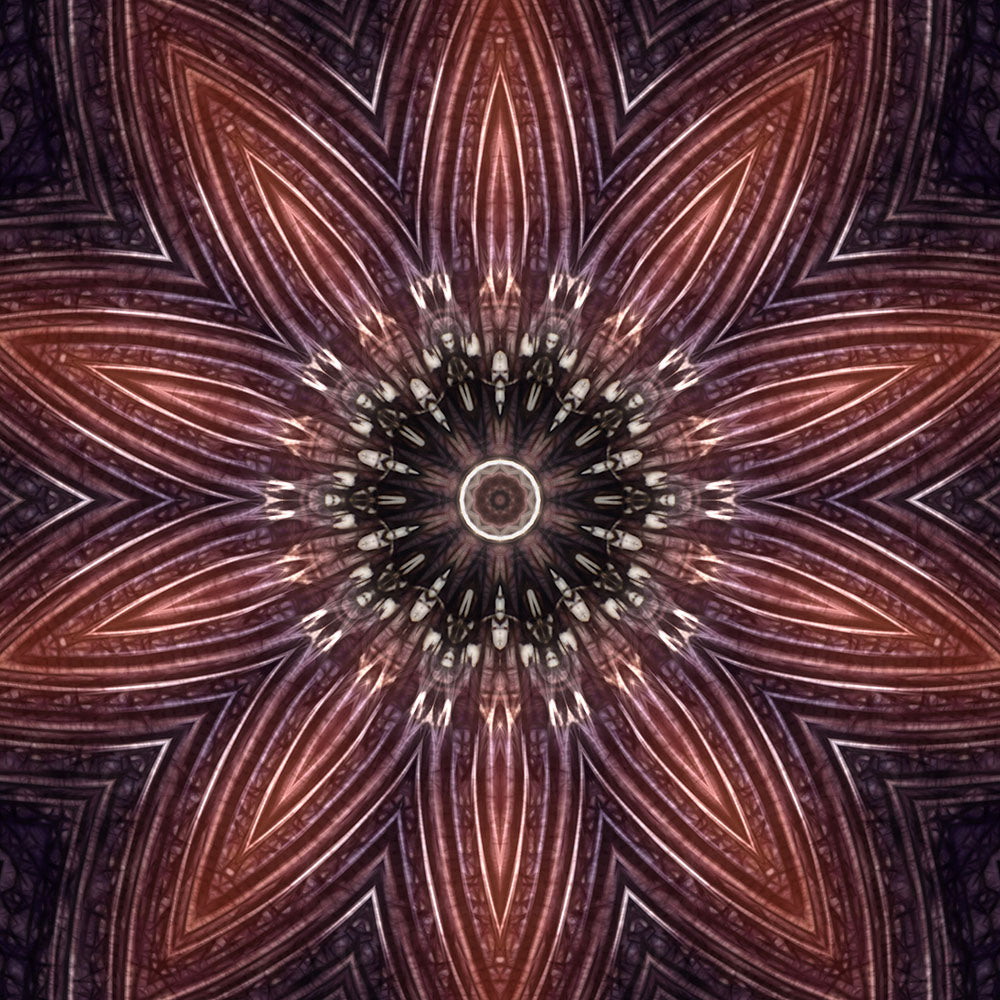 Pink Courderoy Flower Kaleidoscope Digital Image Download