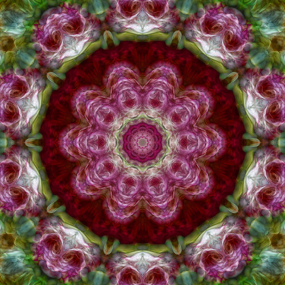 Pink Flower Kaleidoscope Digital Image Download