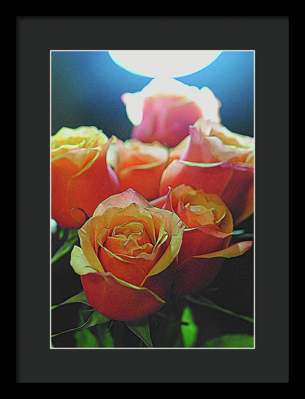 Pinki and Orange Rose Bouquet With Light - Framed Print