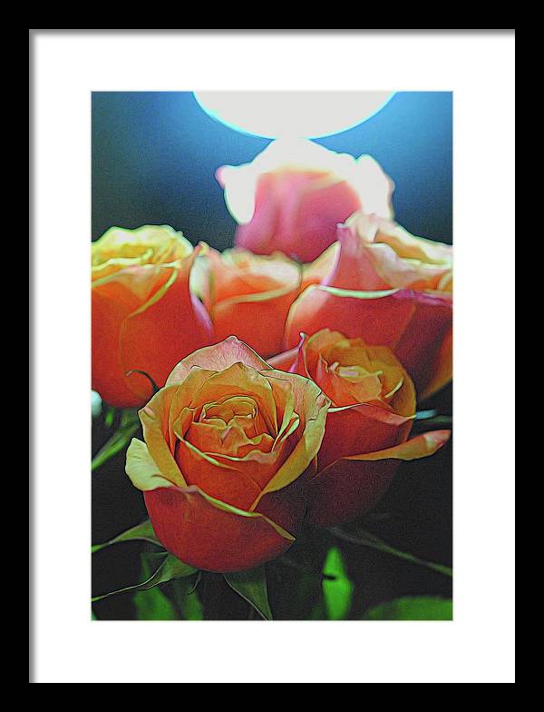 Pinki and Orange Rose Bouquet With Light - Framed Print