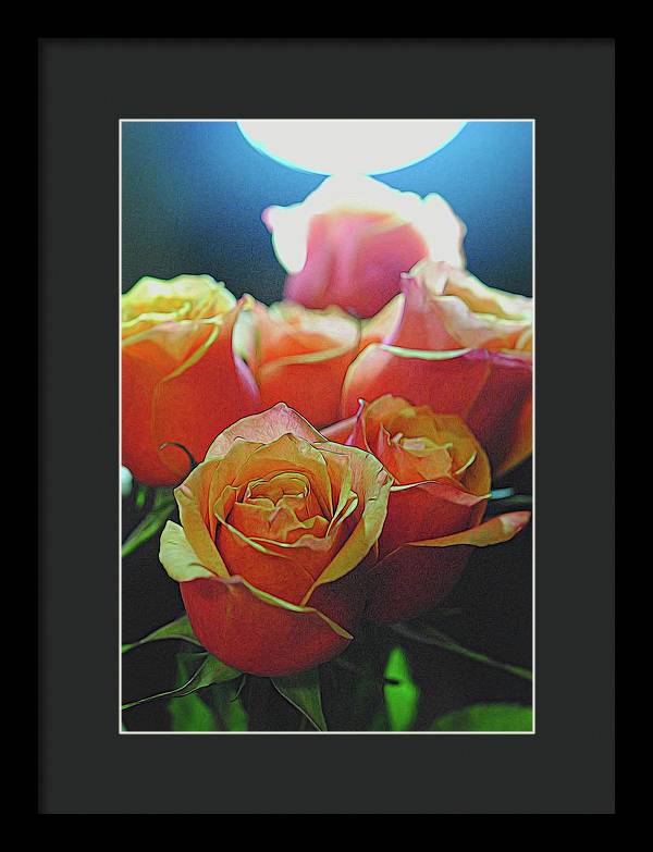 Pinki and Orange Rose Bouquet With Light - Framed Print