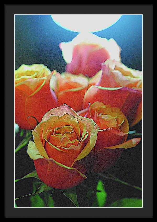 Pinki and Orange Rose Bouquet With Light - Framed Print
