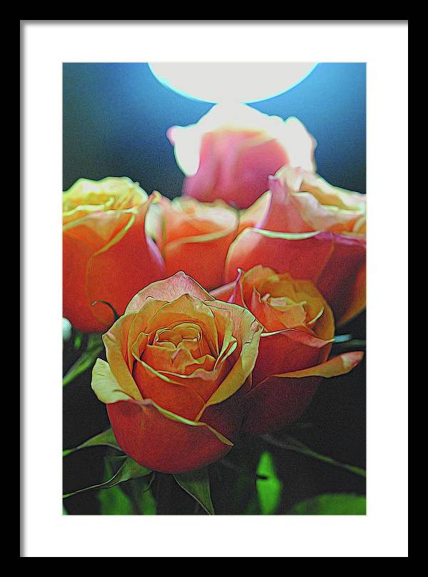 Pinki and Orange Rose Bouquet With Light - Framed Print