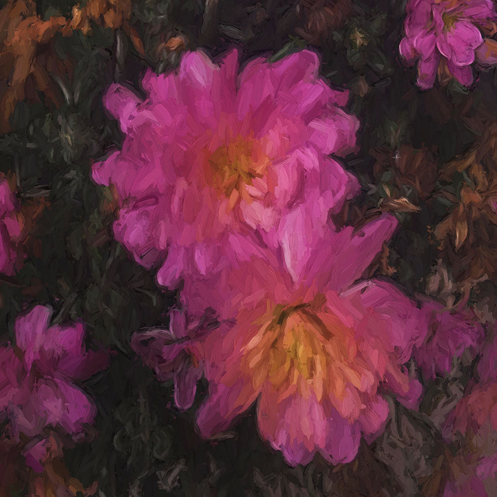 Pink Mums Digital Image Download