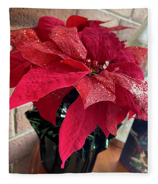 Poinsettia - Blanket