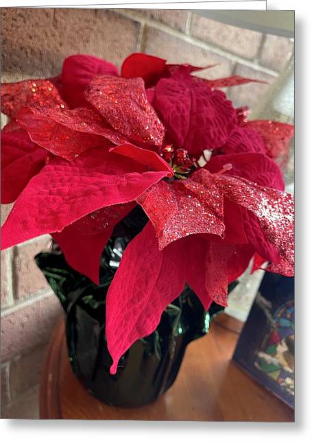 Poinsettia - Greeting Card