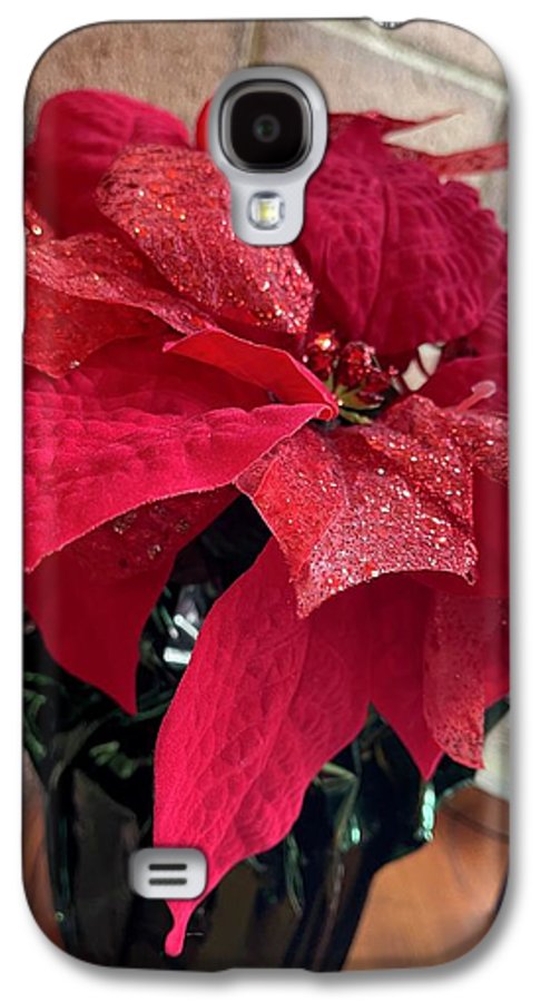 Poinsettia - Phone Case