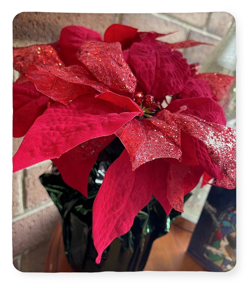 Poinsettia - Blanket
