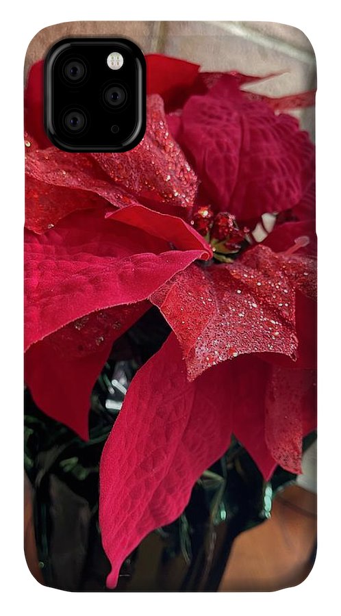 Poinsettia - Phone Case