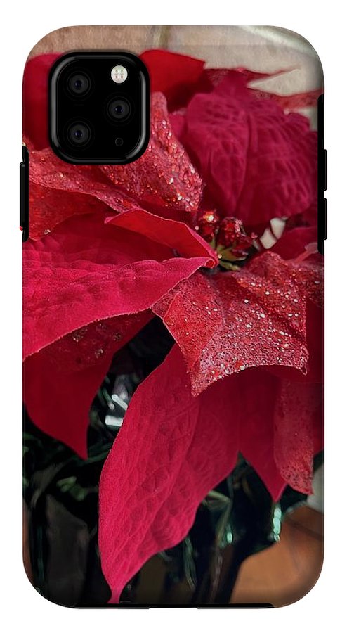 Poinsettia - Phone Case