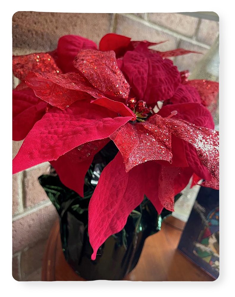 Poinsettia - Blanket