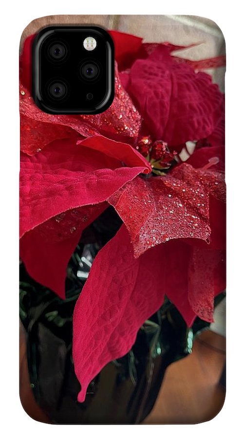 Poinsettia - Phone Case