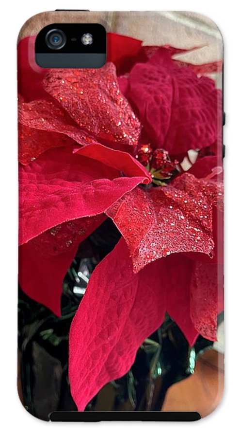 Poinsettia - Phone Case