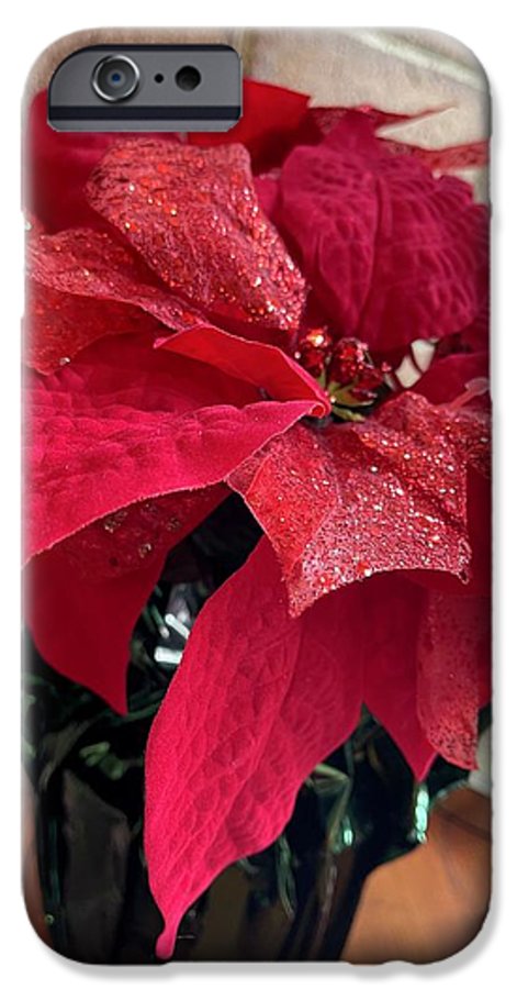 Poinsettia - Phone Case