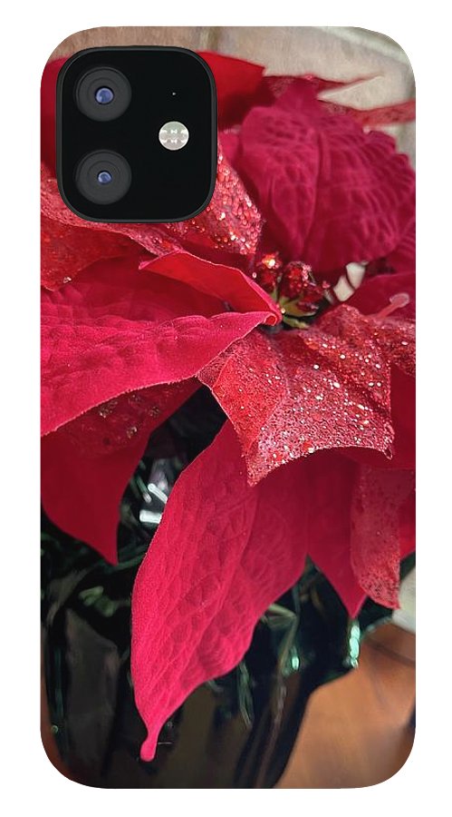 Poinsettia - Phone Case