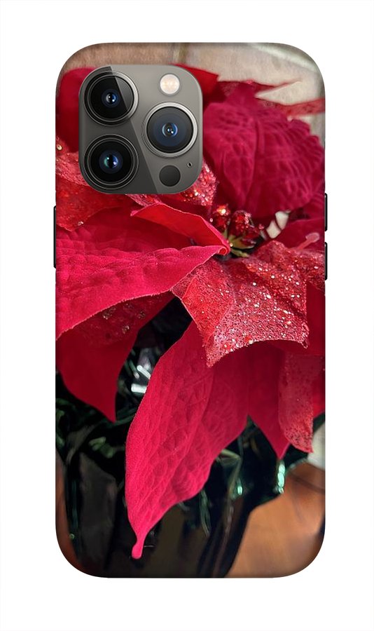 Poinsettia - Phone Case