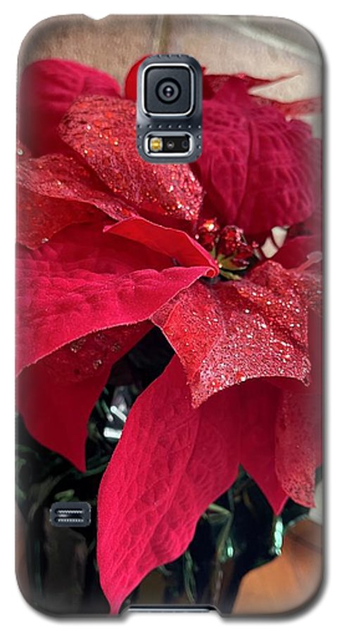 Poinsettia - Phone Case