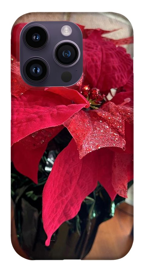 Poinsettia - Phone Case