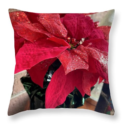 Poinsettia - Throw Pillow