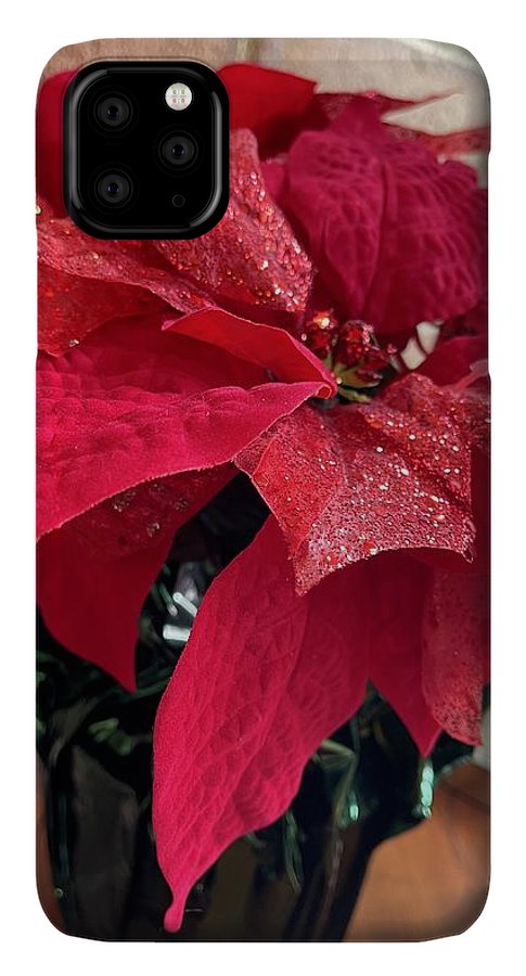 Poinsettia - Phone Case