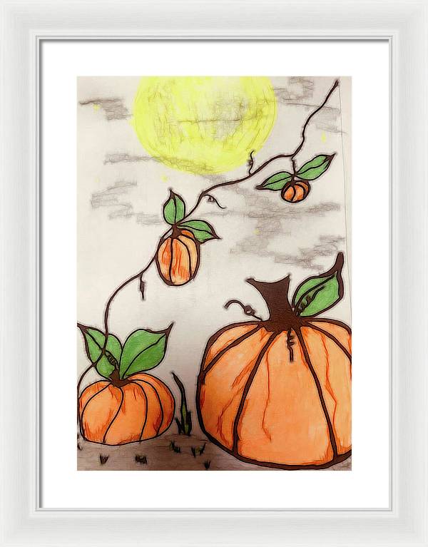 Pumpkin Patch - Framed Print