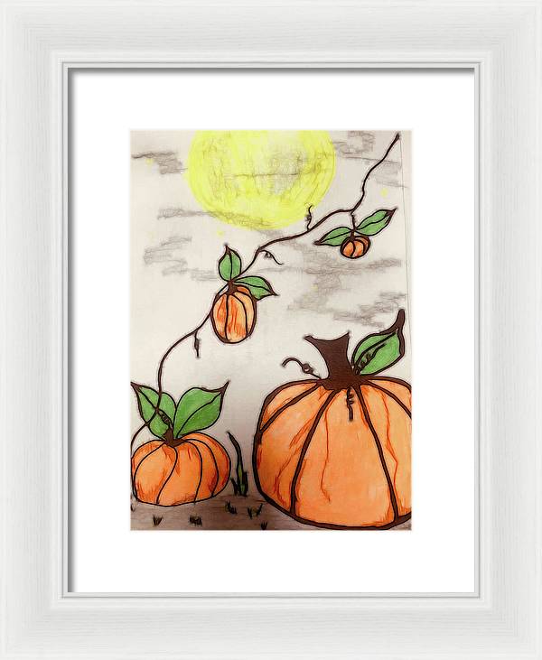 Pumpkin Patch - Framed Print