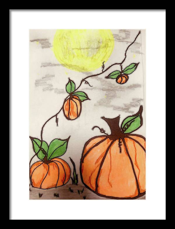 Pumpkin Patch - Framed Print