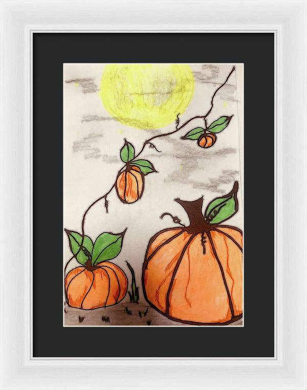 Pumpkin Patch - Framed Print