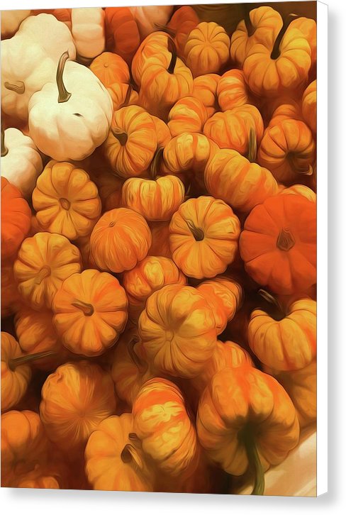 Pumpkins Tiny Gourds Pile - Canvas Print