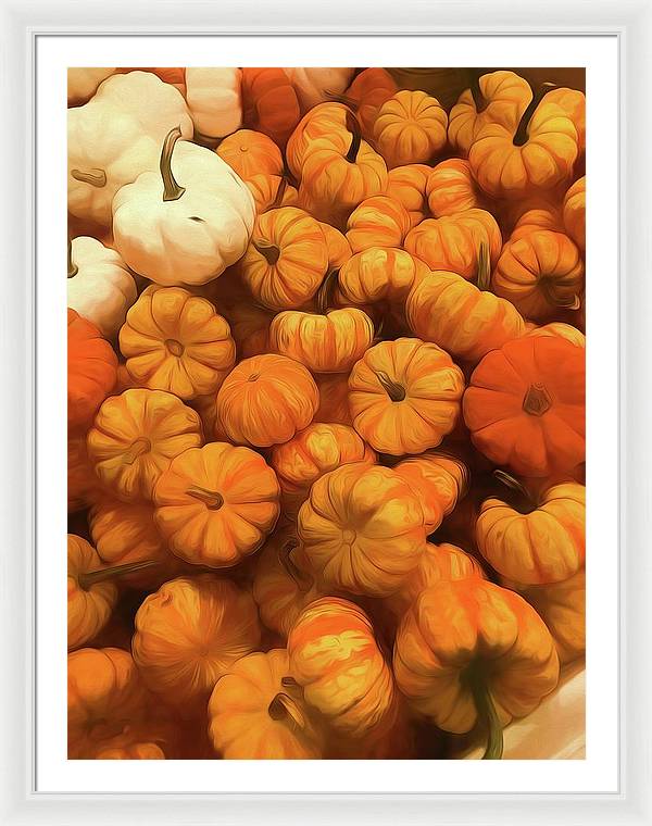 Pumpkins Tiny Gourds Pile - Framed Print