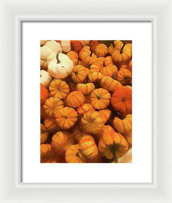 Pumpkins Tiny Gourds Pile - Framed Print