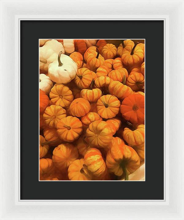 Pumpkins Tiny Gourds Pile - Framed Print