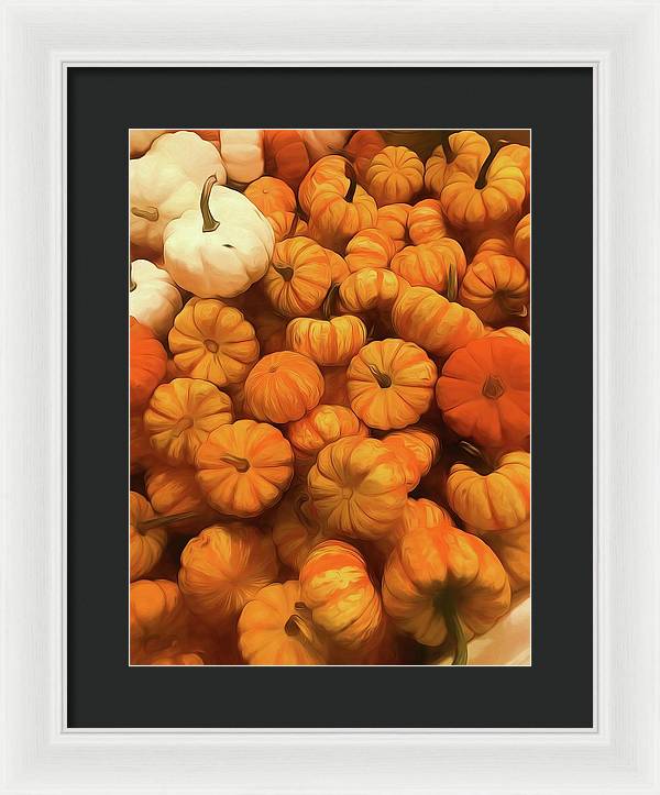 Pumpkins Tiny Gourds Pile - Framed Print