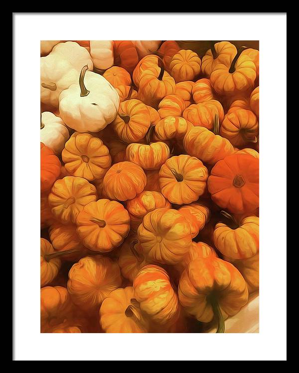 Pumpkins Tiny Gourds Pile - Framed Print