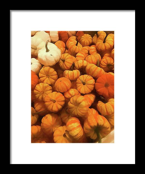 Pumpkins Tiny Gourds Pile - Framed Print