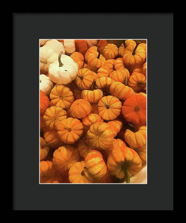Pumpkins Tiny Gourds Pile - Framed Print