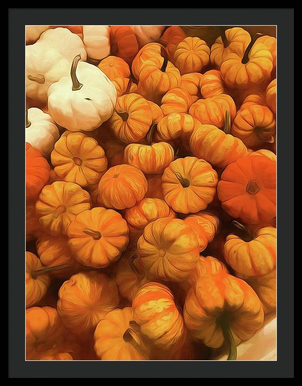 Pumpkins Tiny Gourds Pile - Framed Print