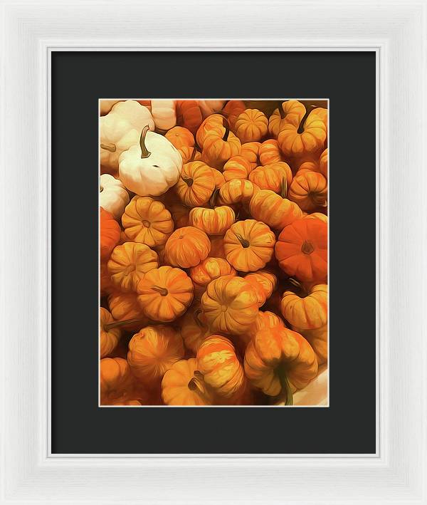 Pumpkins Tiny Gourds Pile - Framed Print