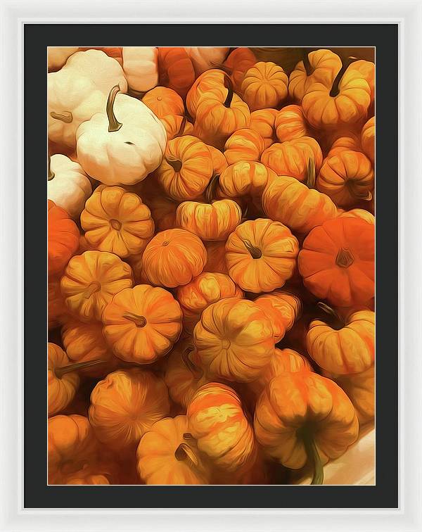 Pumpkins Tiny Gourds Pile - Framed Print