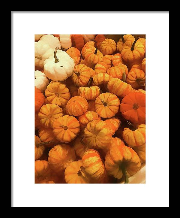 Pumpkins Tiny Gourds Pile - Framed Print