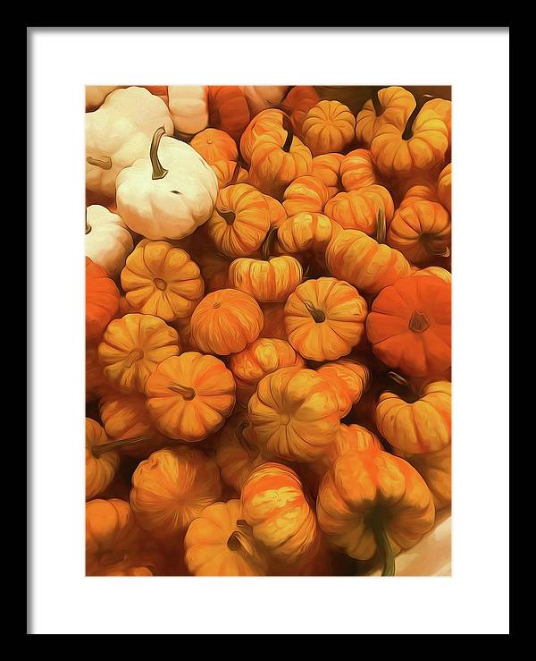 Pumpkins Tiny Gourds Pile - Framed Print