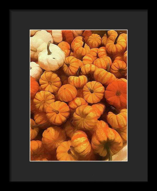 Pumpkins Tiny Gourds Pile - Framed Print